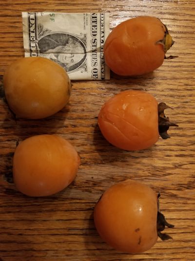 David's Kandy Persimmons