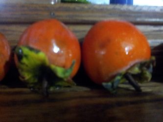 Two Kasandra Persimmons