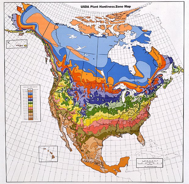 Tree Growing Zone Chart