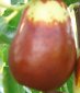 Lang fruit (Jujube)