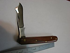 Tina left-handed grafting knife